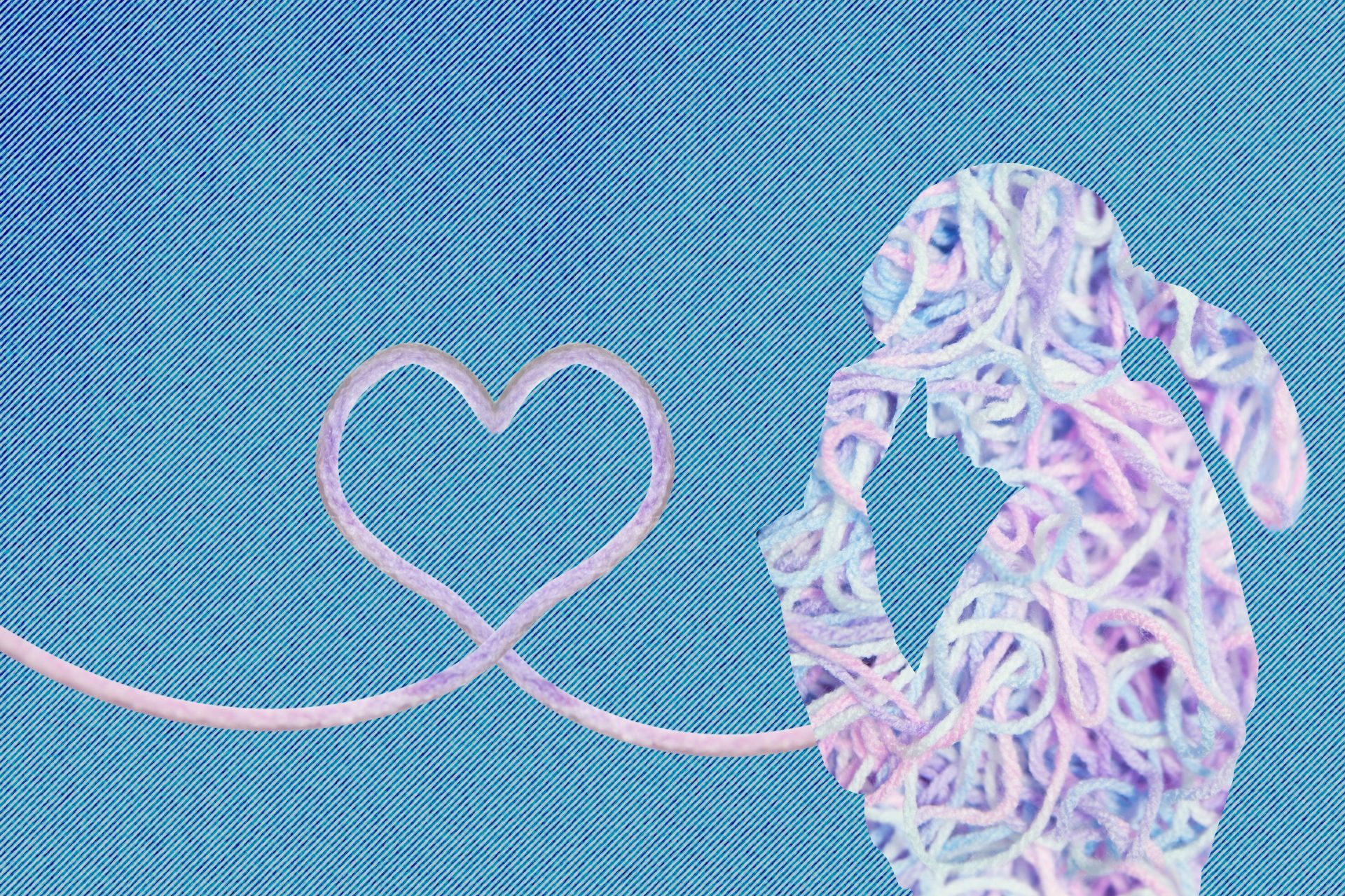 あなたの漁場は?結婚相談所に向いてるのはどんな人?